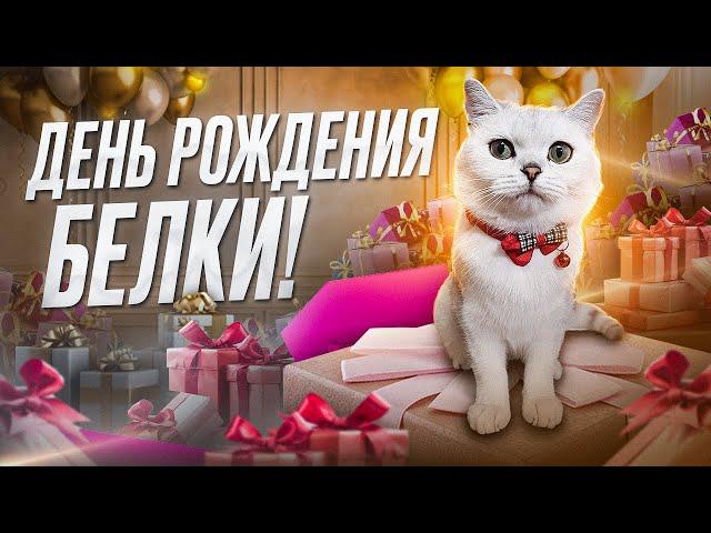 ДЕНЬ РОЖДЕНИЯ БЕЛКИ/ЛАЙКИ lIKE#cat #топ #funny