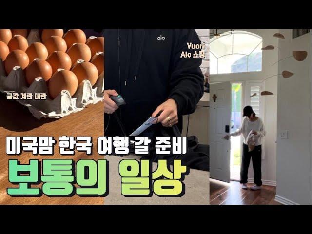 미국일상 | 캘리포니아 주부 보통의 일상 | 한국갈 준비, Vuori, Alo에서 선물 쇼핑, 금값 계란, 잘 자라는 잔디, 샐러드 뷔페, Daily life in the US