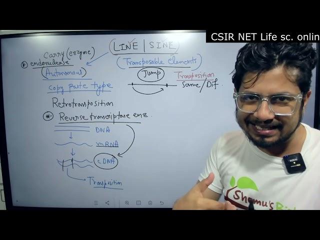 LINE and SINE transposons | Alu elements | Eukaryotic transposons