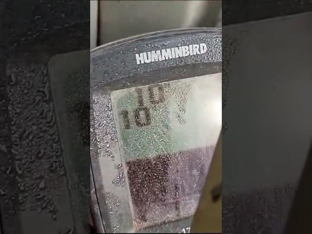 Волга.Никольское.03.11.2023.Ловля судака.