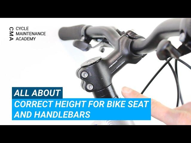 Correct Height For Bike Seat and Handlebars