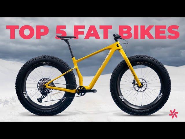 Top 5 Fat Bikes of 2024!