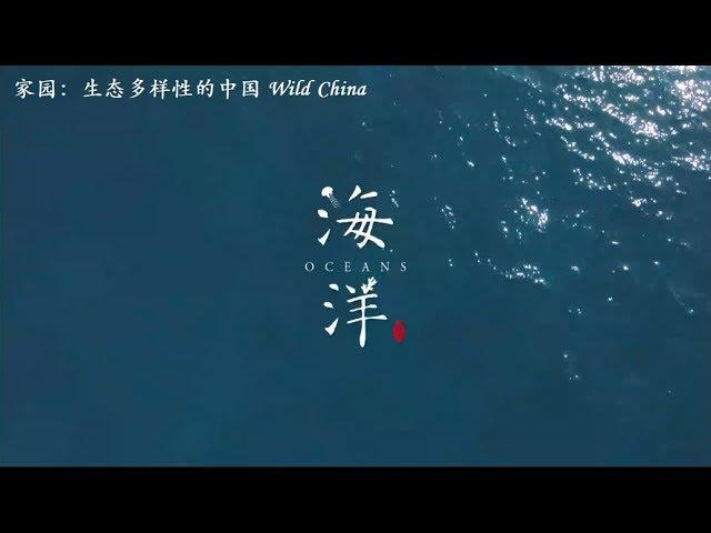 家园 生态多样性的中国 第一集：海洋 China Wild E01: Ocean