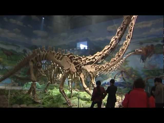 Dinosauriermuseum Zigong, Sichuan - China Travel Channel