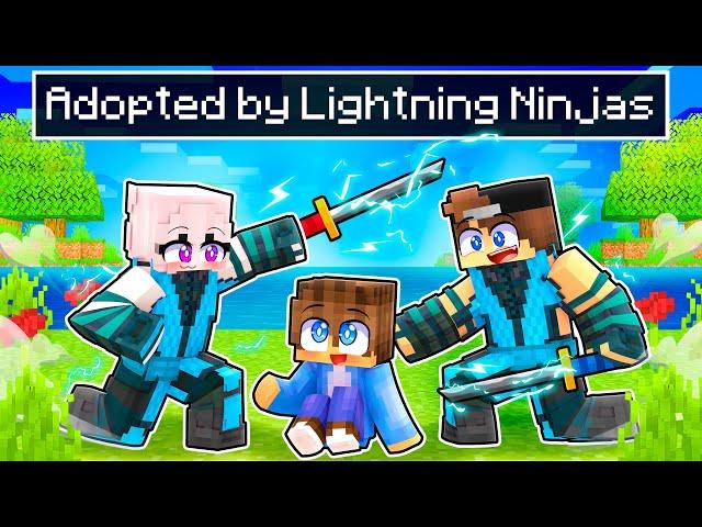 Adopted by LIGHTNING NINJA'S in Minecraft!