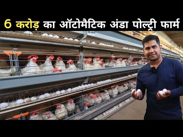 इस पोल्ट्री फार्म पर रोज होती है अंडे  की बारिश | 100 % Automatic Poultry Farm