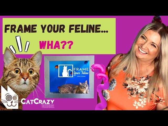 The Frame Your Feline Cat Shelf Is The Best Gift for Cat Lovers
