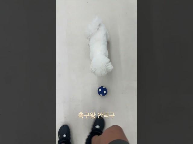 축구왕 안덕구(강휴지) #shorts
