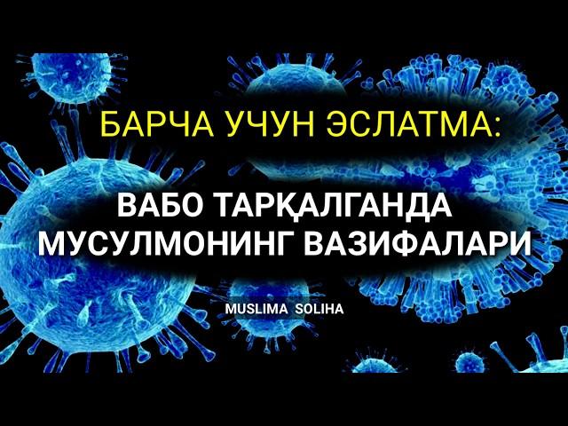 ҚЎРҚУВ,  ВАҲИМА БОСЯПТИМИ? ТИНГЛАНГ! БИЗ ҲОЗИР НИМА ҚИЛИШИМИЗ КEРАК?