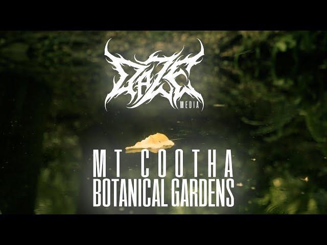 Mt Cootha Botanical Gardens - Daze Media Short Edit