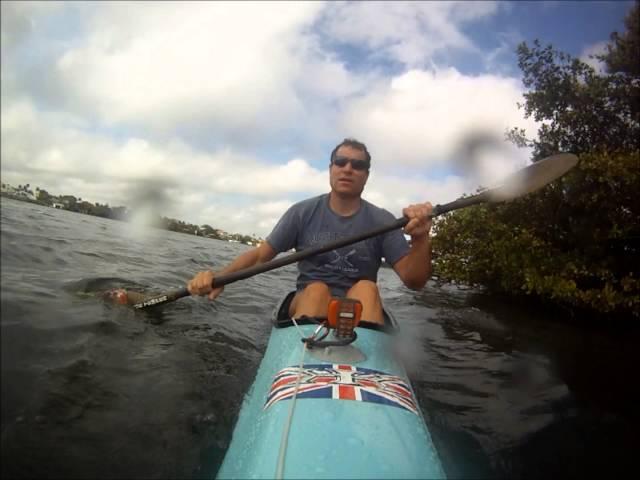 Kayaker Attacked By Alligator