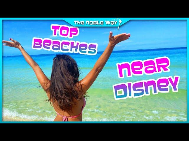 Top Beaches Near Disney & Universal | Clearwater Beach Full Review | Frenchy's Rockaway Grill & More