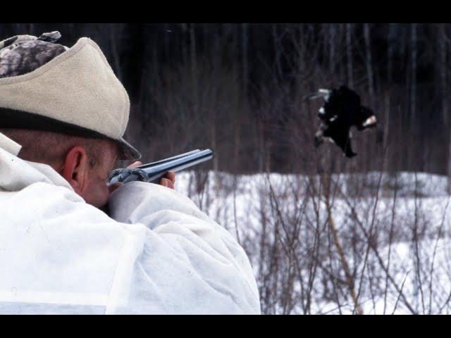 Охота на тетерева зимой на лунках. Winter hunting on a black grouse in the holes.