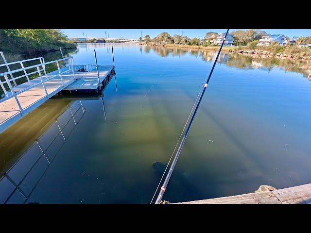 Fishing Galveston Bay Hot Spots during a cold front: I got a big one