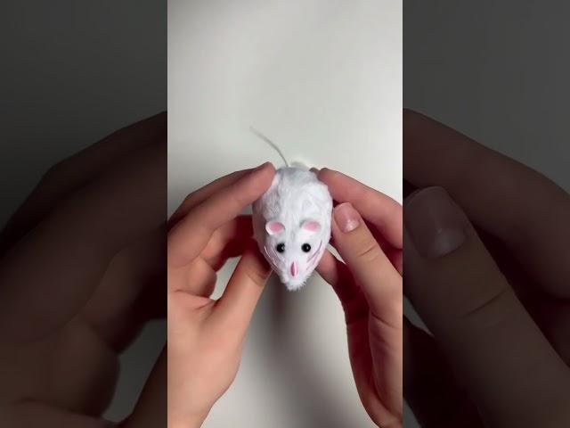 Бегающая мышь для кошки