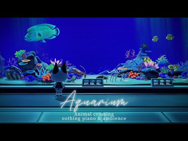 ACNH - Museum Fish Exhibit ( Aquarium ) 5h + Soothing piano music playlist & water sound