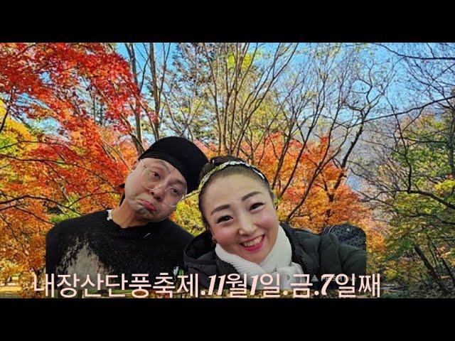 #품바#분홍이#탑공연팀#내장산단풍축제#11월1일금욜7일째#광팔대표님#이태백님#노랭이님#콩깍지님#동이님#잔디님#알고리즘#shorts