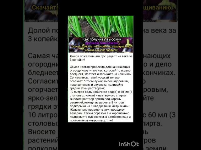 дедовские огородные советы.