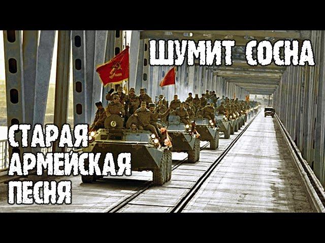 Шумит сосна Афганская песня Я ухожу Сергей Мельник