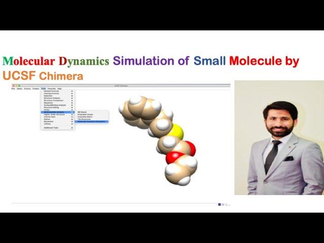 Molecular Dynamics Simulation  small molecule