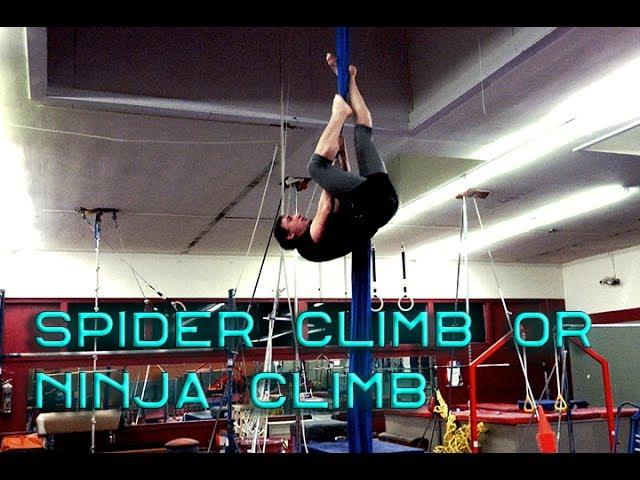 Spider Climb Ninja Climb