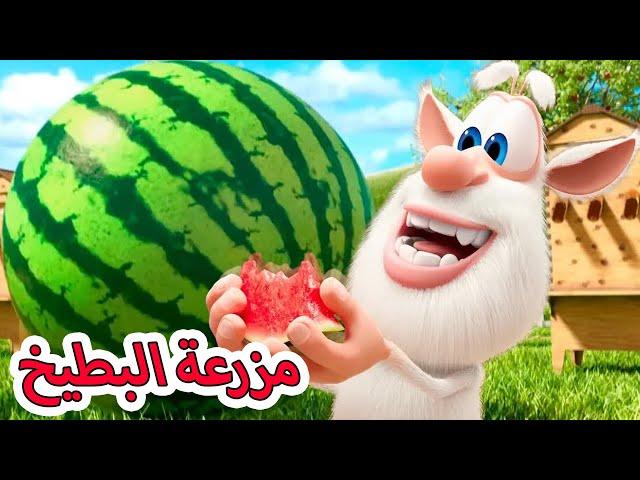 بوبا -  مزرعة البطيخ - كارتون مضحك للأطفال