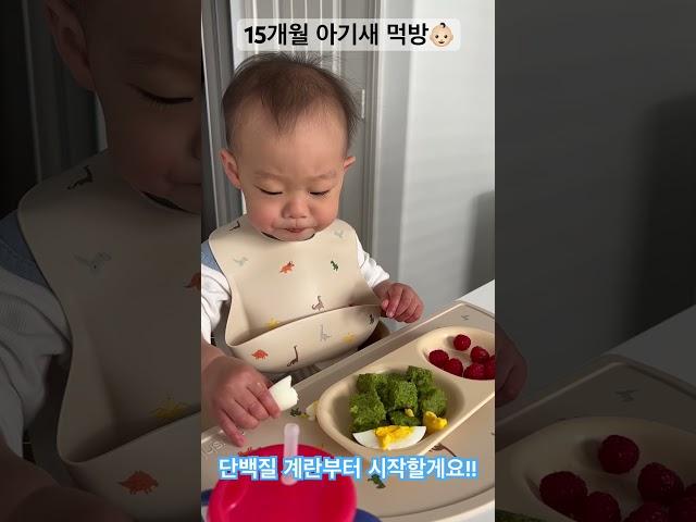 15개월 아기의 오물오물 아침 먹방 #toddler #breakfast #babymeal #아기먹방 #15개월아기 #야무지게먹어요 #shorts  #쇼츠