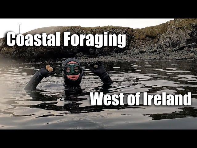 Costal Foraging West of Ireland - Clams and Spearfishing