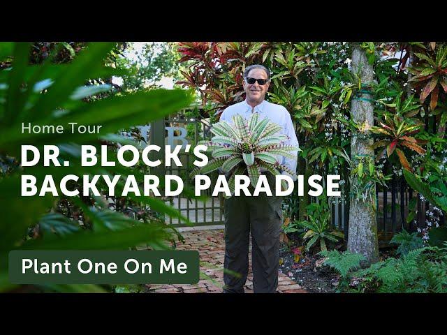 Doc Block's TROPICAL BACKYARD Paradise Tour — Ep. 301