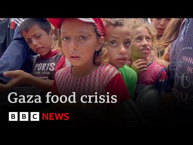 Call for arms embargo on Israel as Gaza’s children face starvation | BBC News