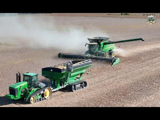 2024 Soybean Harvest in Indiana | West Central Indiana