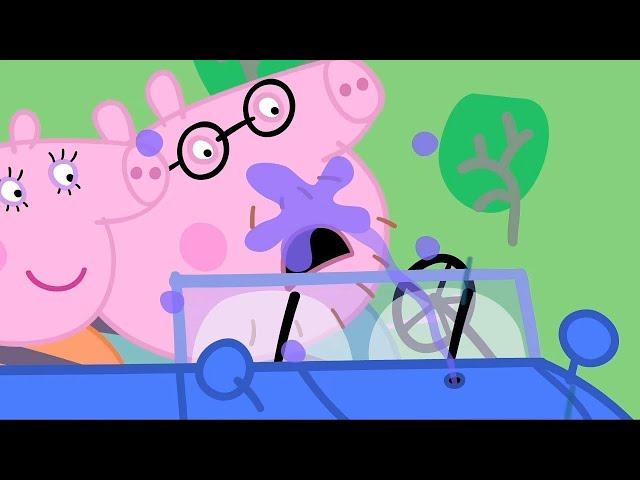 Świnka Peppa | Nowy samochód | Bajki Po Polsku | Peppa po Polsku