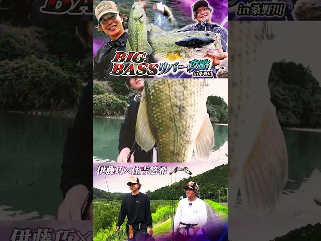 【Takuito伊藤巧＆住吉悠希】BIG BASS リバー攻略in桑野川 #shorts