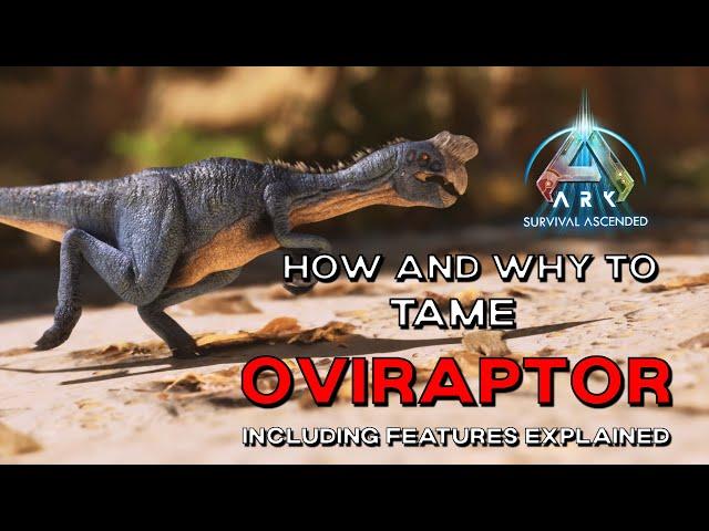 ARK Survival Ascended | How to USE the OVIRAPTOR / How to TAME the EASIEST / BEST KIBBLE FARM