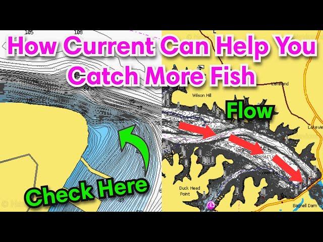 That Dam Current | Power Generation & Flood Control Affects Your Fishing