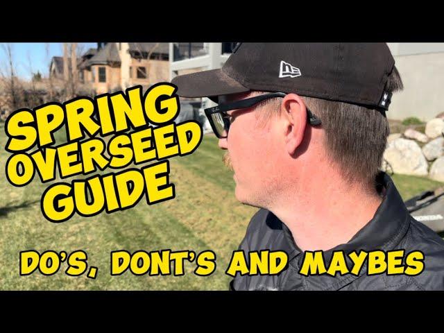 Spring Overseeding? Let’s talk about it.