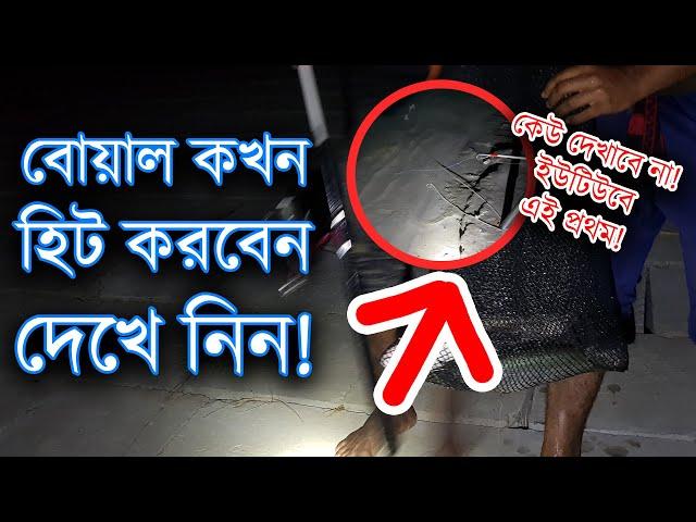 বোয়াল মাছ হিট বা শিকার করার ফুল ভিডিও টোপ, চার ও হিট সব শিখে নিন! Amazing Wallago Attu Fishing Video