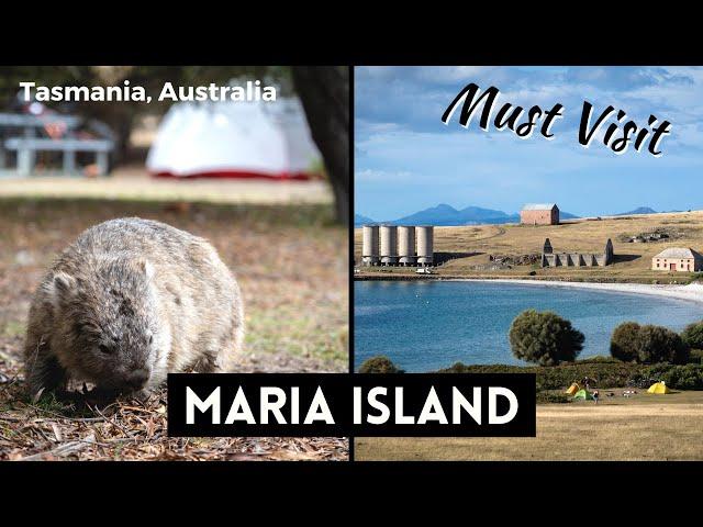 THE BEST THINGS TO DO ON MARIA ISLAND, TASMANIA - Our Favourite Place!!