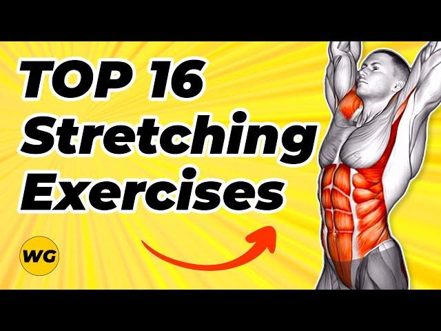 TOP 16 Stretching Exercises For Beginners (Do These Every Morning And After Workout)