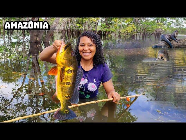 Pescamos e FIZEMOS TUCUNARÉ dentro da CANOA no IGAPÓ da Amazônia