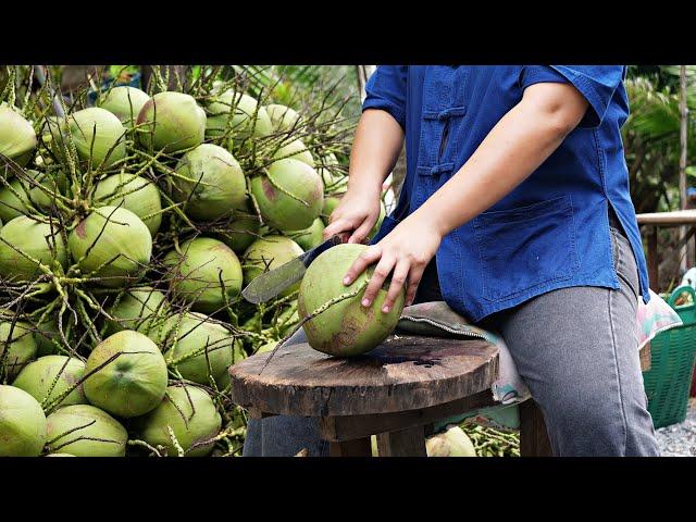 Coconut harvesting process in coconut farm!!!Coconut, coconut processing, Somtam, fried rice!!!