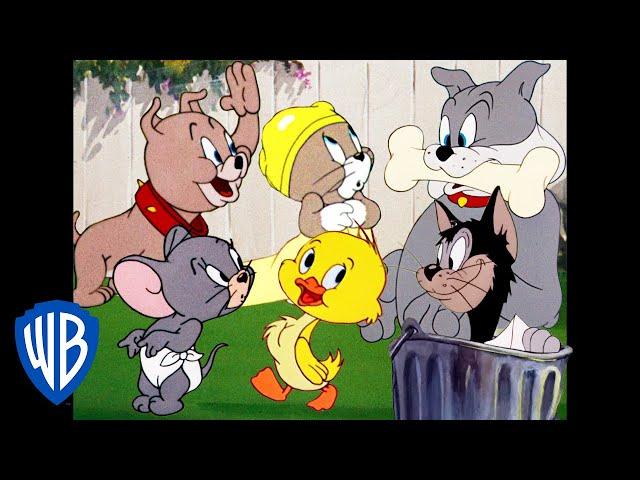 Tom y Jerry en Latino | Todos menos Tom y Jerry | WB Kids