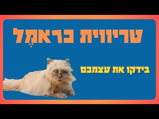 כראמל - חידון טריוויה - בידקו את עצמכם - הכנה כראמל 3