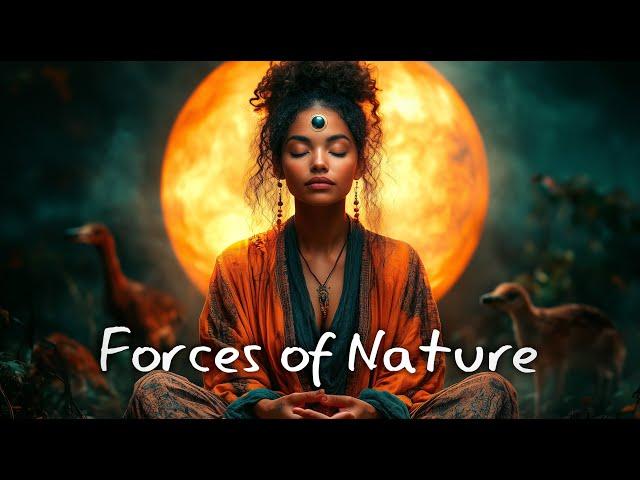 Forces of Nature  Shamanic drumming  Spiritual tribal music  Shaya meditations