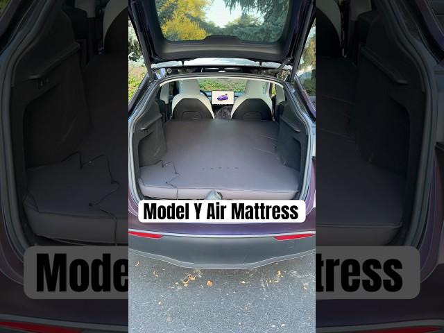 I Bought The Official Model Y Air Mattress 