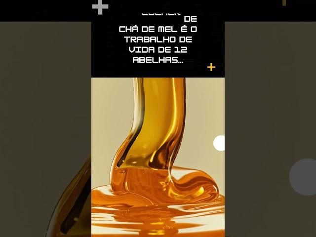 Você Sabia que...: Descobertas Surpreendentes.