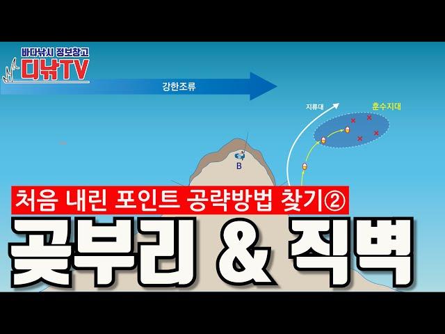 곶부리 공략법 & 직벽 공략법 해설 [디낚TV 낚시공부방]