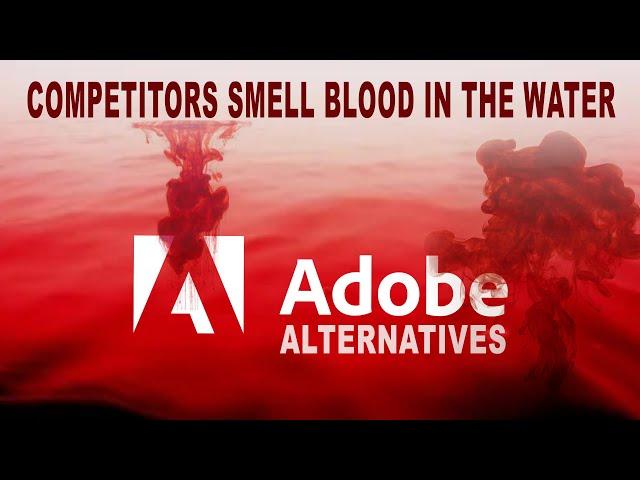 Adobe Alternatives Competitors Smell Blood In The Water