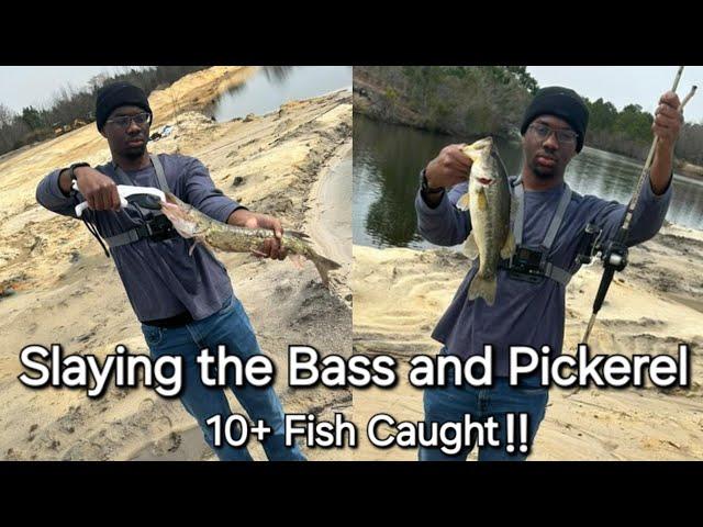 Slaying some Bass and Pickerel | Late Winter Nc Pond Fishing