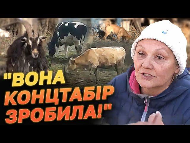 "Вона концтабір зробила! У неї тільки 250 собак!" СКАНДАЛ НА ВСЕ СЕЛО!